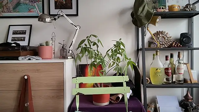 MikymikeBBWD online show from 11.12.25