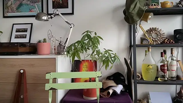 MikymikeBBWD online show from 11.22.25