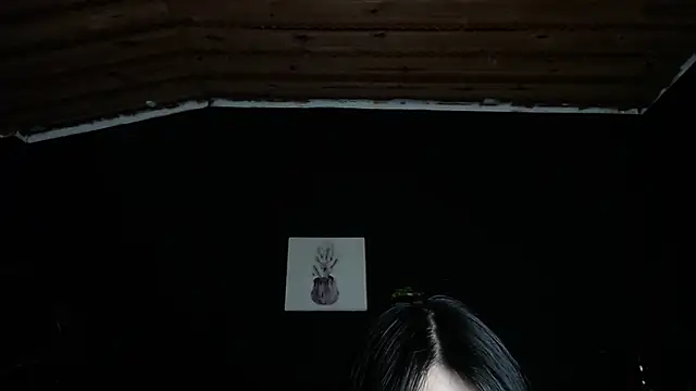 Snapshot of fyreandfox_ chatting on 11.24.25 fyreandfox online show from 11.24.25