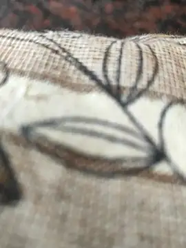 Snapshot of cocktony chatting on 03.02.25 cocktony online show from 03.02.25