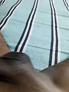 desi pb02 online show from 03.17.26