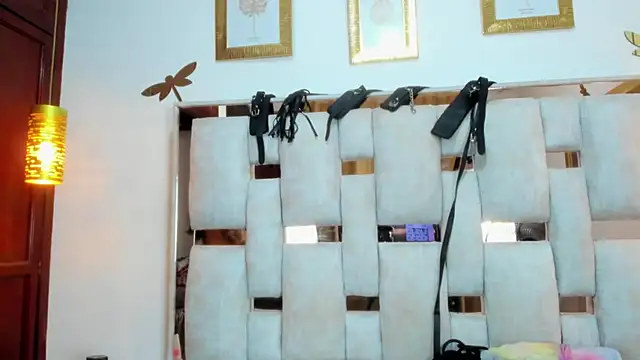 Braylen Sanchez online show from 12.20.25