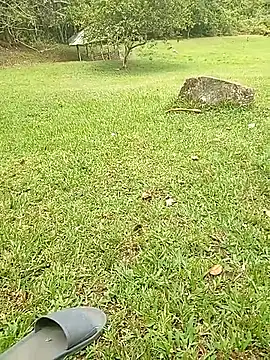 Snapshot of Mycansonhot chatting on 10.23.25 Mycansonhot online show from 10.23.25