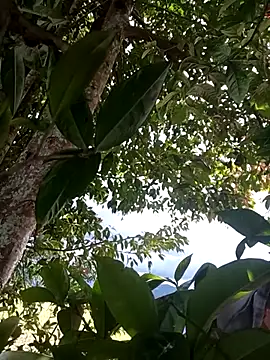 Mycansonhot online show from 04.11.26