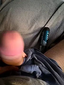 Toradinho online show from 11.17.25