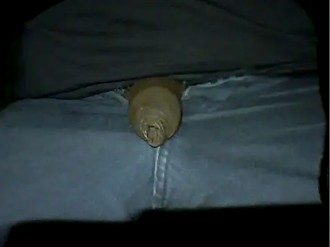 Mthondo-qinile online show from 11.18.25