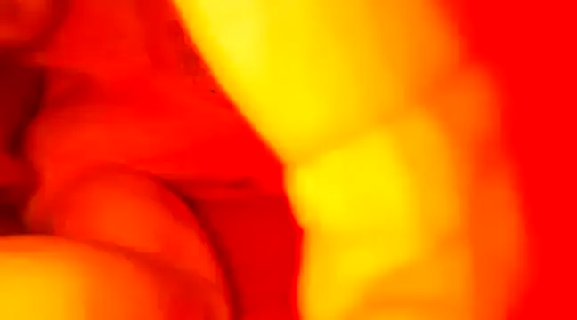 Snapshot of JCstrings chatting on 02.21.25 JCstrings online show from 02.21.25