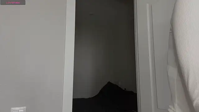 SibleyBurner online show from 03.20.26