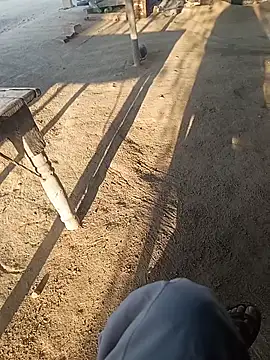 Delhi BoyBigcock online show from 12.14.25