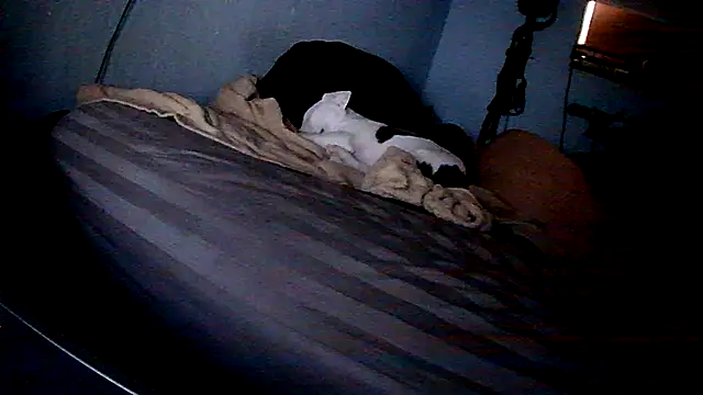 Snapshot of PornStro921 chatting on 02.11.26 PornStro921 online show from 02.11.26