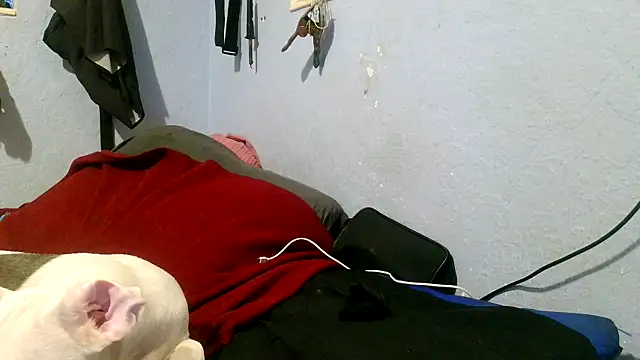 Snapshot of PornStro921 chatting on 05.03.26 PornStro921 online show from 05.03.26