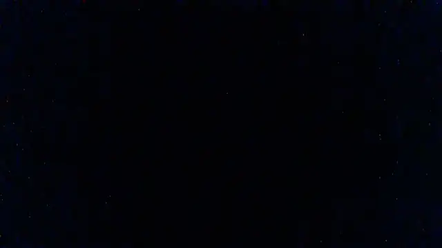 SillyRabbitz online show from 03.03.25