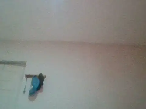 bafeng online show from 07.24.26