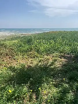 Smallcoco26 online show from 03.07.25