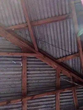 Ladyzee25 online show from 11.26.25