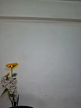 Snapshot of Noor-Bold chatting on 11.07.25 Noor-Bold online show from 11.07.25