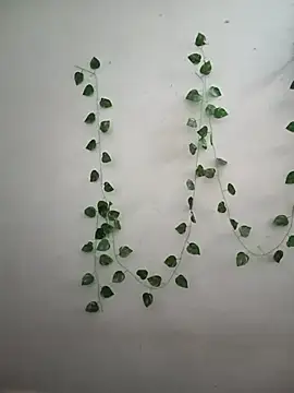 Neha-Bhabhi-Rasily online show from 02.14.26