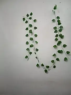 Neha-Bhabhi-Rasily online show from 02.22.26