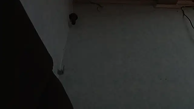 PrimordialChill6 online show from 04.06.26