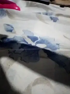 Sandra42 online show from 11.14.25