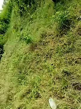 himvilohi08 online show from 10.06.25