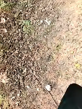 himvilohi08 online show from 01.07.26