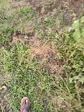 himvilohi08 online show from 03.16.26