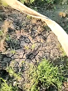 himvilohi08 online show from 03.21.26