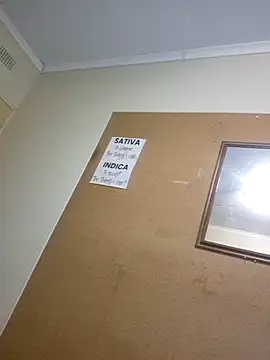 bakedsnackmmh online show from 03.30.26