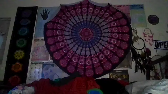 GardeniaFields online show from 03.02.26