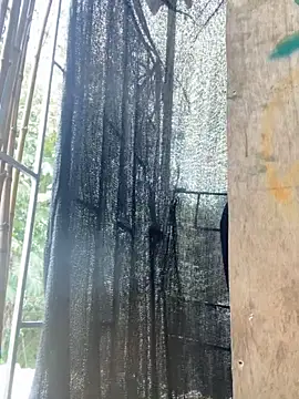 val zx online show from 03.27.26