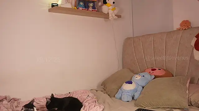 Snapshot of sweetlittlevenus chatting on 12.19.25 sweetlittlevenus online show from 12.19.25