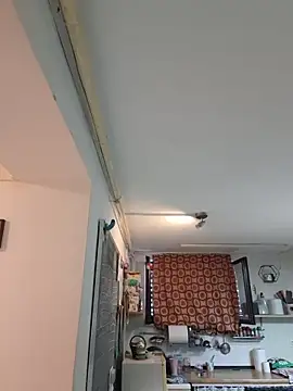 Snapshot of svenpfeifer chatting on 10.24.25 svenpfeifer online show from 10.24.25