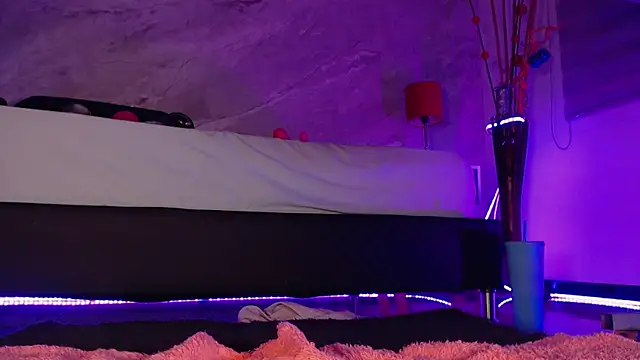 catmolly  online show from 12.30.24