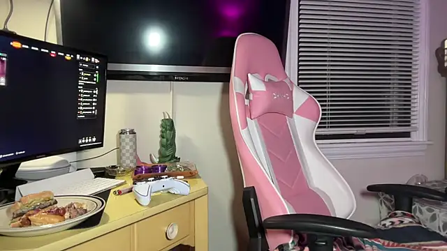 Snapshot of SpaceCowWhore chatting on 10.01.25 SpaceCowWhore online show from 10.01.25