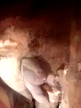 Ayush pussy fucker online show from 11.23.25