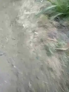 Sonia Mehra6 online show from 03.22.25