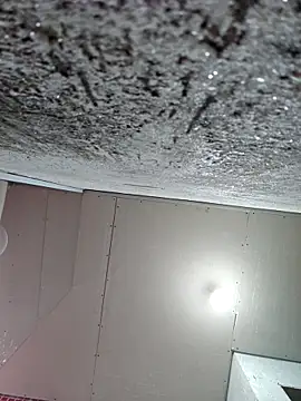 membro destruidor online show from 03.31.26