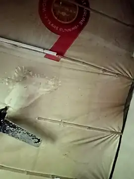 adrija94 online show from 11.22.25