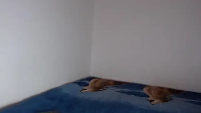 sharon sexy  online show from 11.23.25