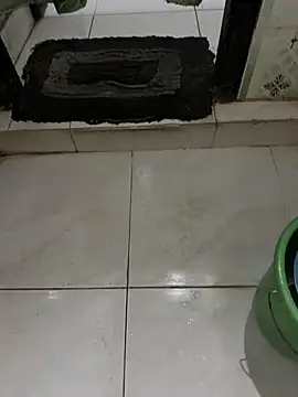 Snapshot of dilu98 chatting on 12.02.25 dilu98 online show from 12.02.25