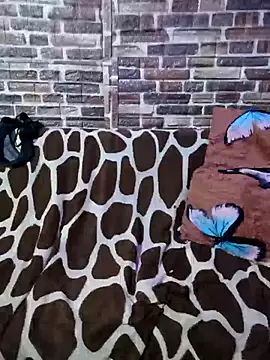 Casadaculona30 online show from 03.03.26