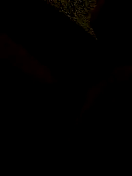 Tomassasdss online show from 10.22.25