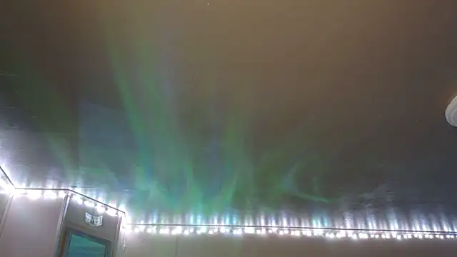 mavismable online show from 02.03.26