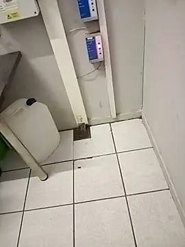 Snapshot of paptsimo chatting on 11.25.25 paptsimo online show from 11.25.25