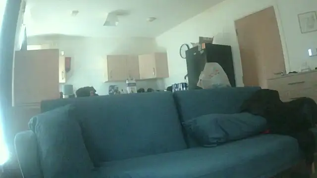 avamaxwell online show from 05.21.26