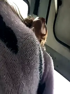 Daliana Gounbolt online show from 10.11.25