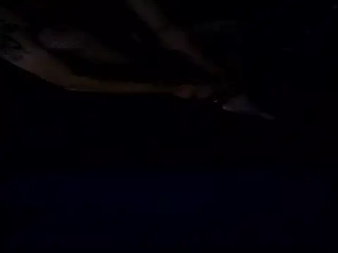 Crossedsissy online show from 12.15.25