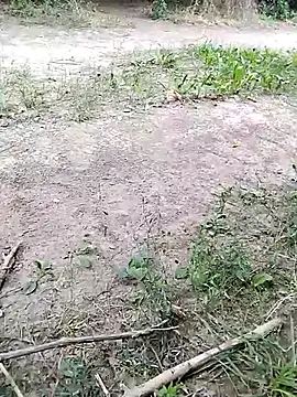 Snapshot of hornny_boy35 chatting on 07.24.26 hornny boy35 online show from 07.24.26
