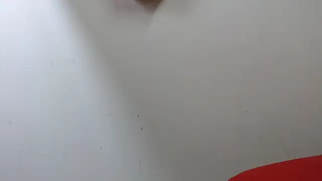 lola warner online show from 10.16.25